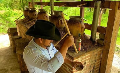 Productores de mezcal de Oaxaca impulsan siembra de agave tobalá, en riesgo por sobreexplotación