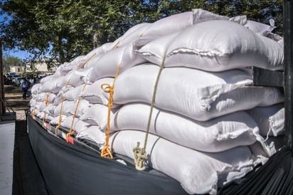 Alcaldesa entrega avena forrajera a productores del campo de Piedras Negras 