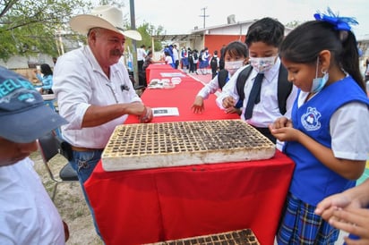 Huertos escolares son aceptados por alumnos