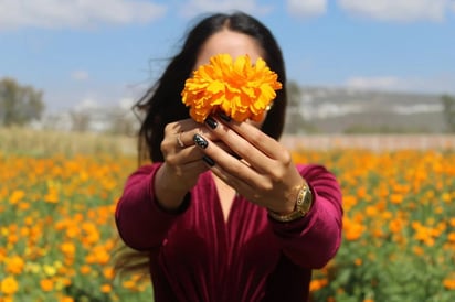 Dónde visitar campos de flores de cempasúchil para tomarse fotos