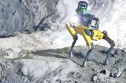 La NASA estudia el enviar perros robots exploradores a la luna