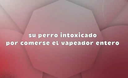 “Víctor, el chico más guapo de la cuadra…”: Gobierno lanza canción contra vapeadores