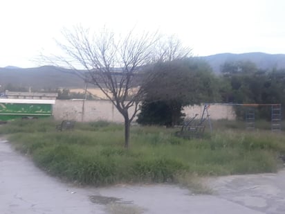 Plaza de la Colonia Obrera Sur segundo sector parece la Selva Lacandona