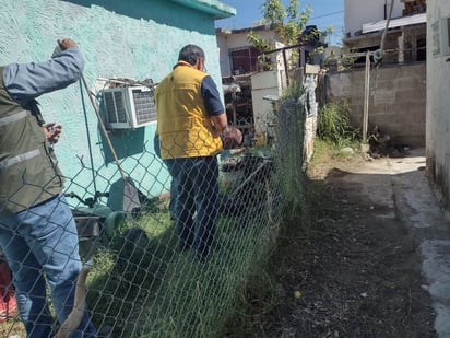 El 90% de los cercos sanitarios han detectado dengue en patios