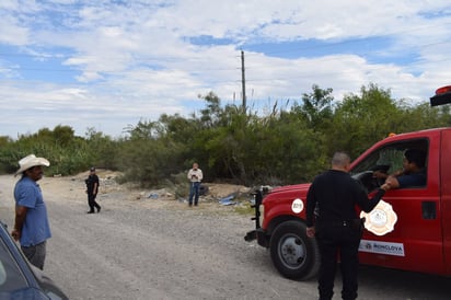 Perros enfrentan a osa y crías en Estancias 'de arriba'