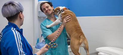 Consejos útiles a la hora de castrar a tu mascota