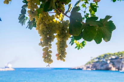 ¿Qué son los vinos submarinos?