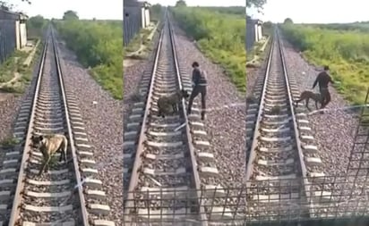 Maquinista se vuelve viral tras liberar a un perro que estaba amarrado a las vías del tren