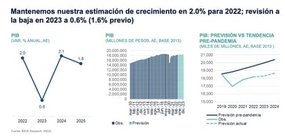 Pronóstico del Producto Interno Bruto para 2023 a  la baja