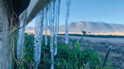 ¡Prepárese!... Frente Frío 6 se extiende por el Golfo; habrá posibles heladas en Coahuila