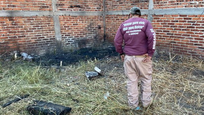 Perro con un brazo en el hocico dio la pista para hallazgo de fosas clandestinas en Guanajuato