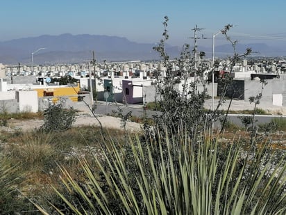 Llegan constructoras al límite del área natural protegida