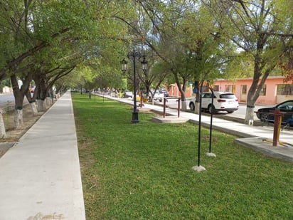 Alameda de San Buena está en constante limpieza