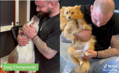 El quiropráctico de perritos que es un rockstar en TikTok