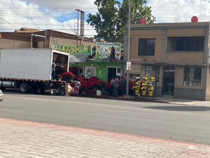 Florerías inician la venta de Nochebuenas