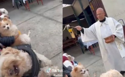 Sacerdote da la bendición a perritos y uno termina en exorcismo