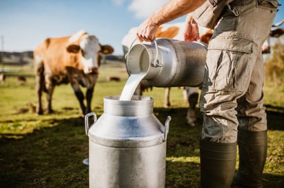 ¿Cómo nos ayuda La Leche durante y después del desarrollo?