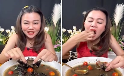 Youtuber tailandesa come sopa de murciélago; se enfrenta a pena de hasta 5 años de prisión