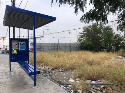 Parada de autobús rodeada de maleza se convierte en un riesgo