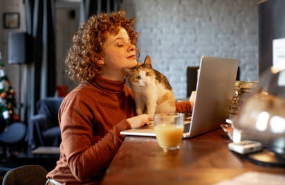 Científicos revelan la manera más eficiente de amigarse con los gatos