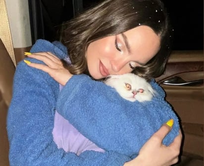 Belinda presenta al nuevo miembro de su familia: Glen: Se trata del primer gatito que tendrá a su cuidado