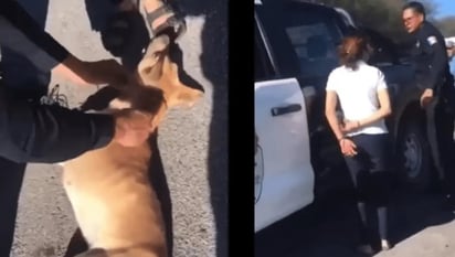 Una mujer no se tienta el corazón y arrastra a un perro mientras conducía una motocicleta