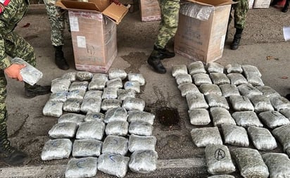 Soldados aseguran casi 700 kilos de marihuana en Halachó, Yucatán: El enervante procedía de la Ciudad de México y tenía como destino Mérida
