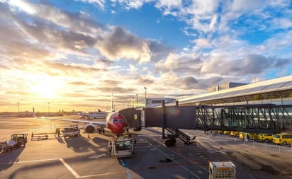 Bajaron a un pasajero de un avión al descubrirle un gato en su maleta