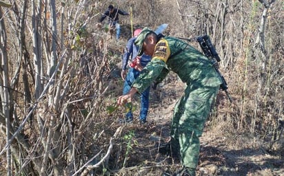 El Ejército Mexicano detiene a 'El Panther', presunto jefe de plaza del GJNG en Michoacán 