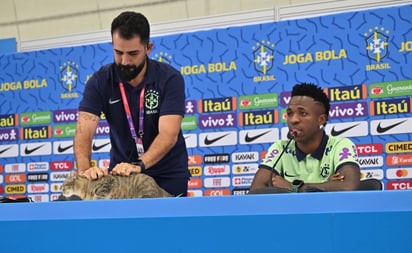 Brasil causa controversia por sacar 'violentamente' a gato que se coló en conferencia de prensa: El jefe de prensa de la Selección de Brasil fue criticado por la forma de agarrar y aventar al animal que estaba en la mesa dond