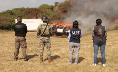 Elementos de la Marina y FGR aseguran 959 kilogramos de marihuana en Michoacán