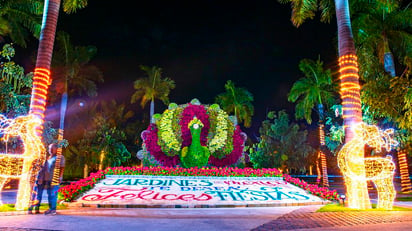 Cuánto cuestan los recorridos navideños en Jardines de México