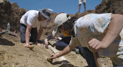 Hallan el cráneo y el cuerpo completo de un antiguo reptil marino