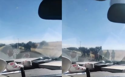 Asaltan caravana de paisanos provenientes de EU en carretera de Zacatecas