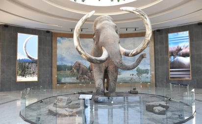 Museo del Mamut espera recibir por día mil 200 visitantes durante vacaciones de invierno