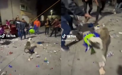 ¡Agárrenlo! Perrito roba piñata de posada y desata persecución