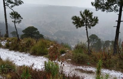 ¡Saca las cobijas! Este lunes habrá un nuevo frente frío; continuarán las lluvias y heladas en estos estados