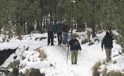 ¿Cuál es la diferencia entre aguanieve y nieve?: La Secretaría de Gestión Integral de Riesgos y Protección Civil alertó sobre las bajas temperaturas y lluvias que continuarán en