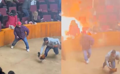 Así fue el momento de la explosión de una granada durante una pelea de gallos en Hidalgo