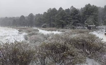 Impresionantes postales deja nevada en municipios de Chihuahua