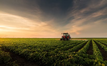 ¿Qué son las Cabañuelas y qué tienen que ver con la predicción del clima?