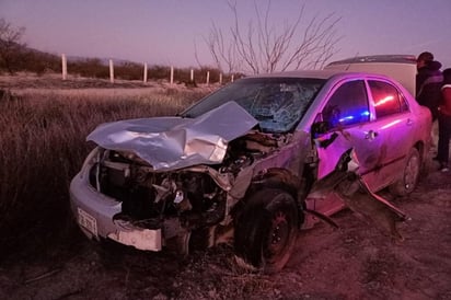 Conductor choca con un venado en la carretera Monclova-Monterrey