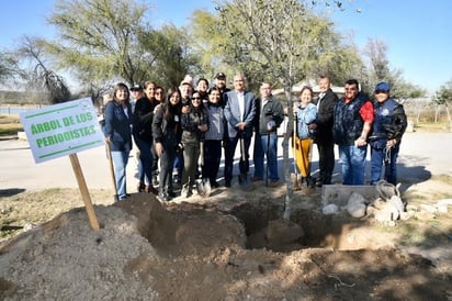 Siembran encino en Ecoparque como símbolo de los periodistas de Monclova 