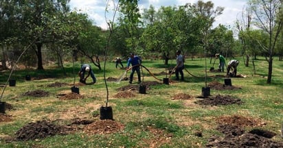 Ecología e Imagen Urbana, limpian y reforestan PN