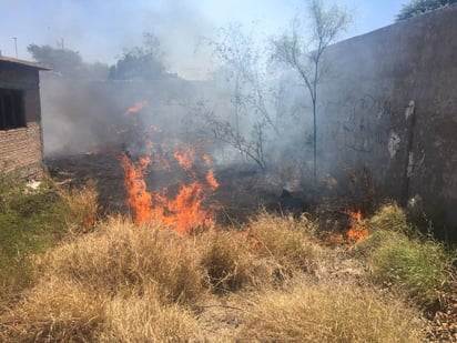 Incendios en lotes baldíos al alza, provocados por los habitantes     