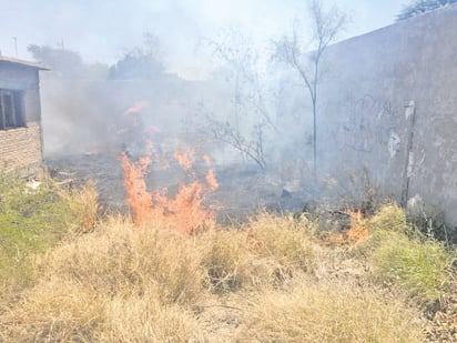 Incendios en lotes baldíos al alza; son provocados por los habitantes     