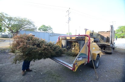 Poco viable instalar módulo para pinos naturales