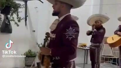 Perrito asusta a mariachi que estaba cantando: Sin duda, el video no ha tardado en cobrar gran popularidad dentro de TikTok.