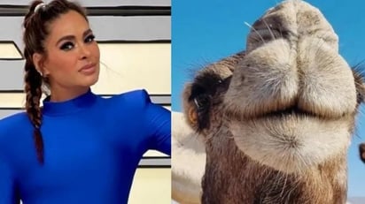 Galilea Montijo revela que le ofrecieron 150 camellos a su esposo por ella en Marruecos: Durante el programa mostraron la sesión de fotos que la conductora realizó para una revista de Arabia.