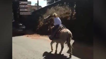 Burro se da la fuga con una pequeña niña montada encima: Un burro emprendió su corta huída de su dueño con una pequeña montada encima de él